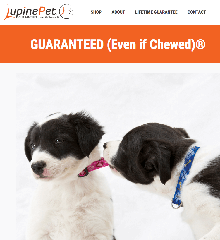 lupine ad with 2 puppies chewing on collar
