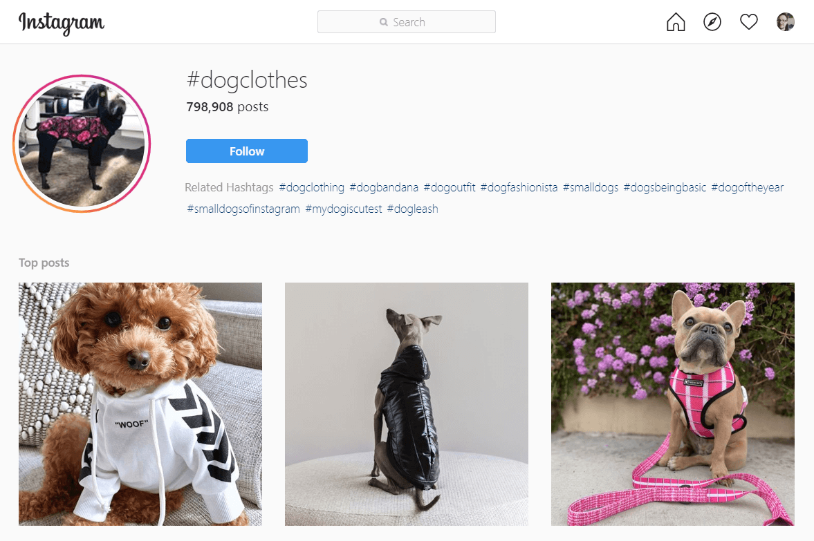 Instagram page of #dogclothes