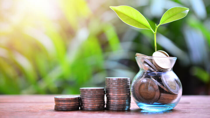 jar of coins with growing plant