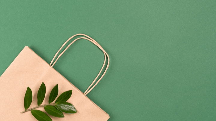 paper recycled bag with green leaves