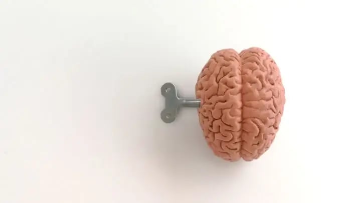 toy brain with wind-up key