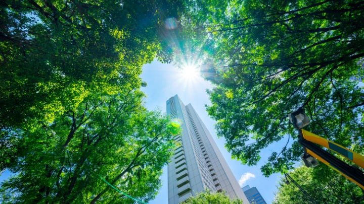 looking up view of panoramic modern city skyline with blue sky and green tree