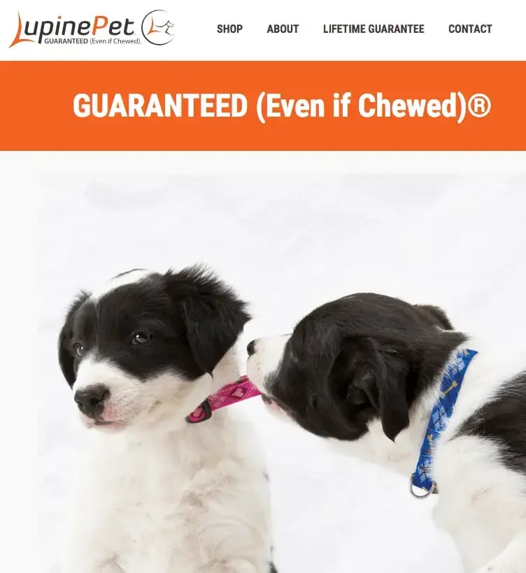 Lupine Pet page with 2 puppies chewing on collar
