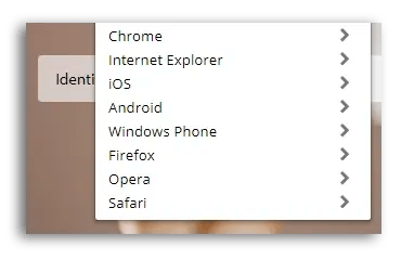 User-Agent Switcher tool zoomed in