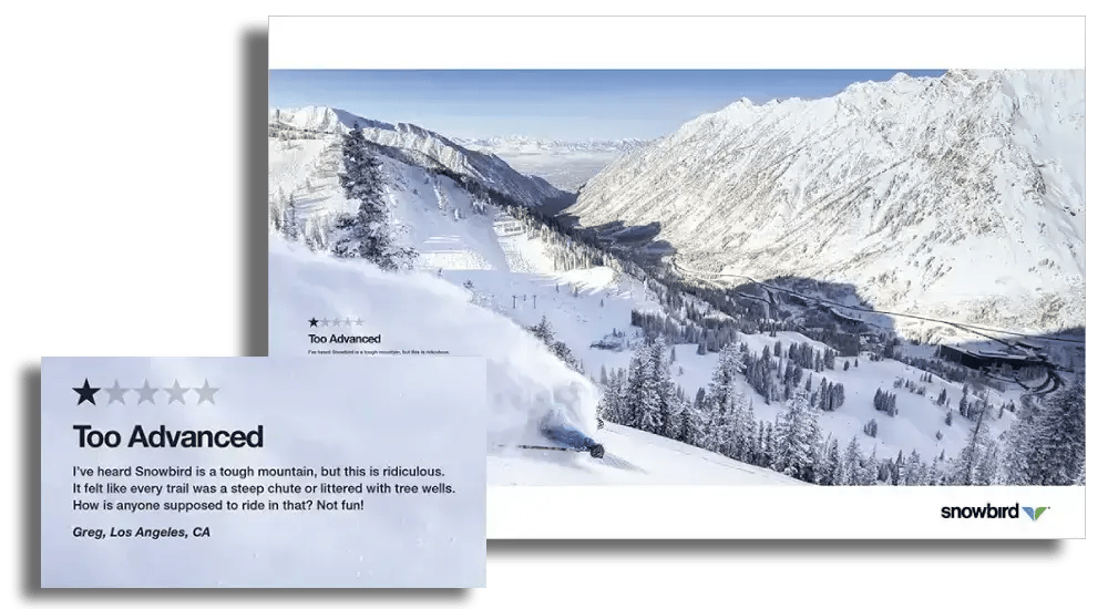 snowbird-ad-negative-review