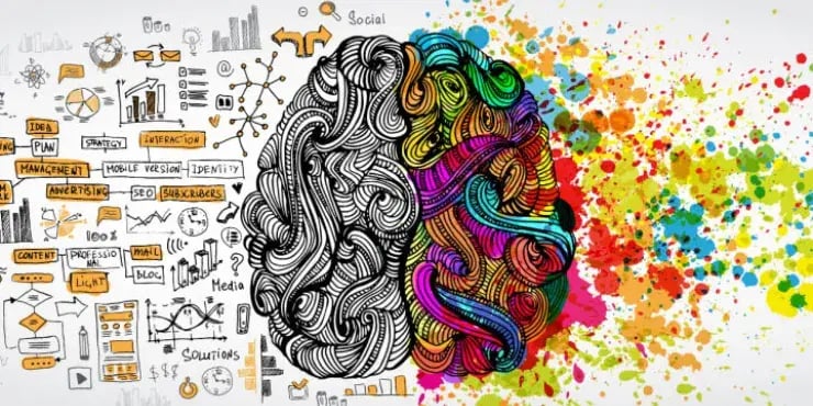one half of a brain that is organized and black and white, and the other half that is colourful and messy