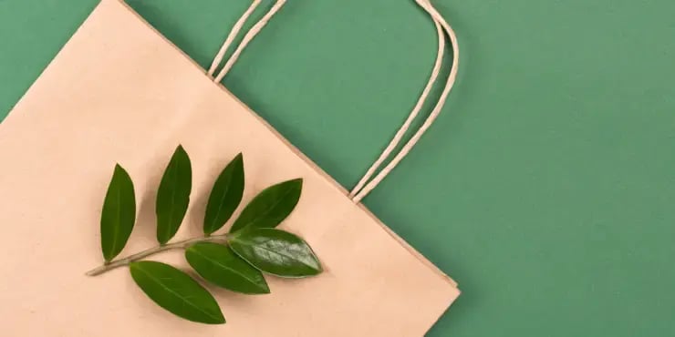 paper recycled bag with green leaves laying on top
