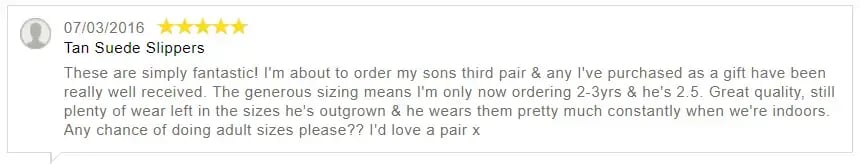 example of detailed product review