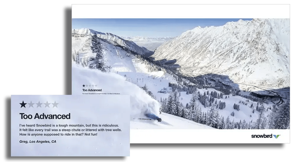 snowbird ad with negative review highlighted