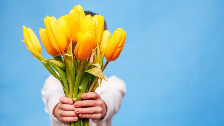 person giving flowers