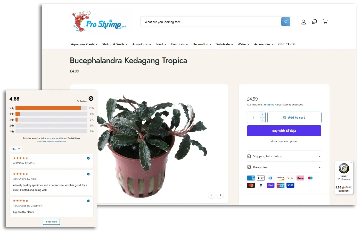 An example of a product page displaying both service reviews and product reviews.