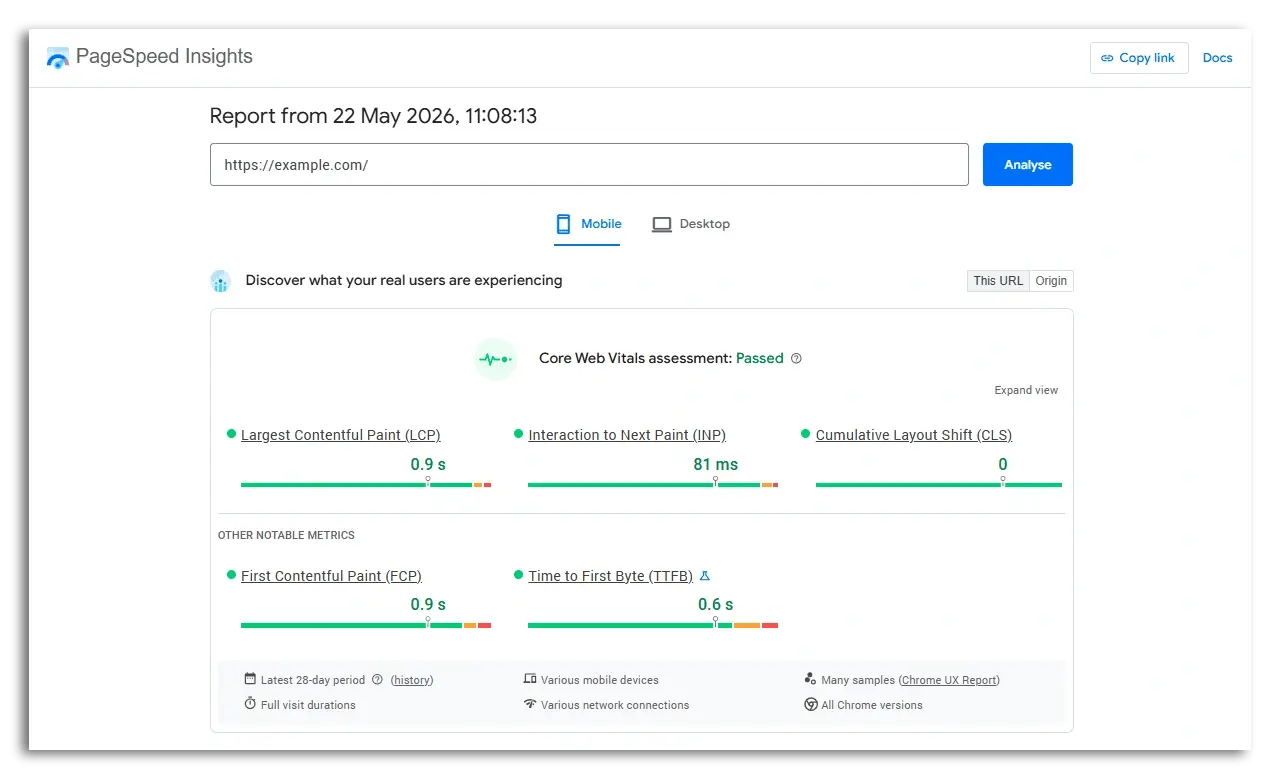 Example of PageSpeed Insights