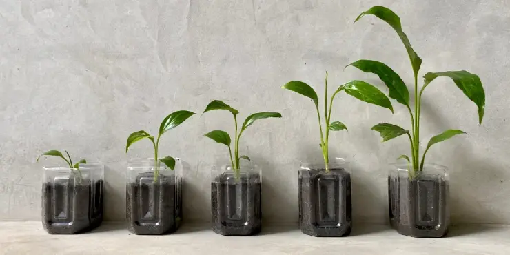 Growth hacks in e-commerce