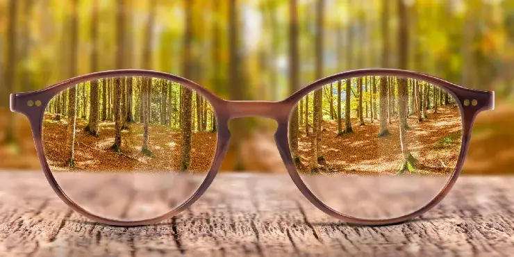 Make Your Website Accessible for the Blind and Visually Impaired